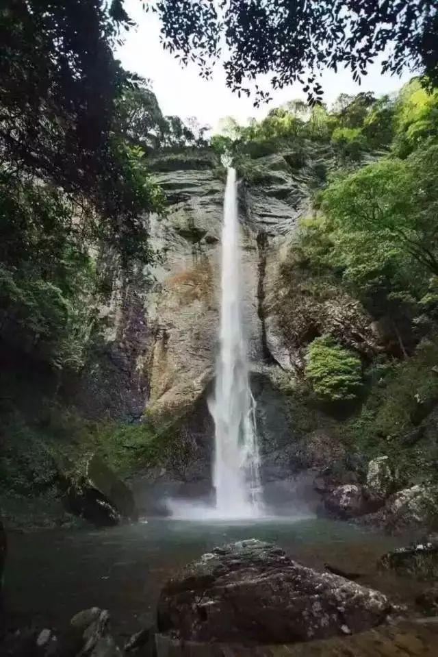 吃金币的猫
