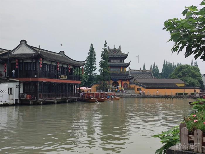 逃离变色龙森林